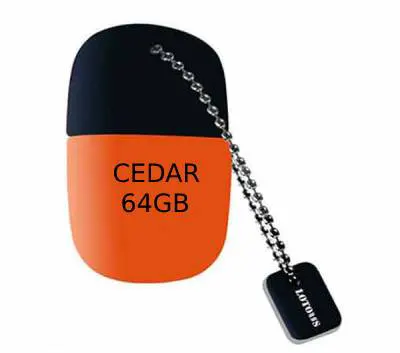 فلش مموری لوتوس مدل CEDAR64 ظرفیت 64 گیگابایت
